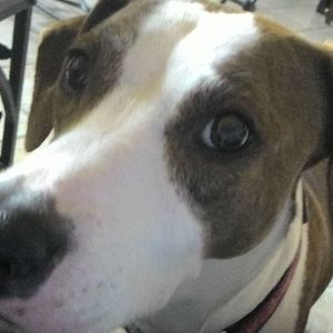 Meet your Posher, Sharon